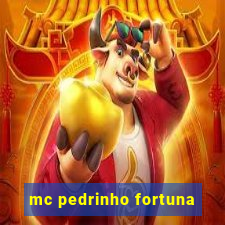 mc pedrinho fortuna